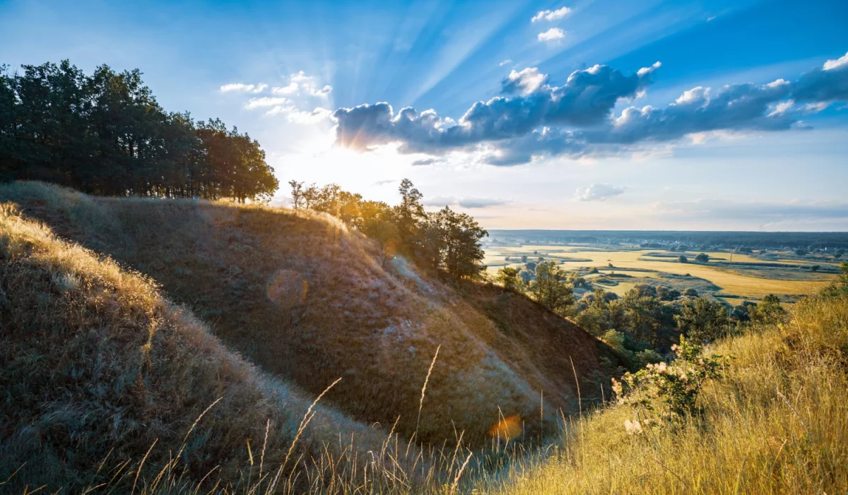 Krok po kroku: jak zaprogramować maszynę przenośnikową w TIA Portal (przykład z kodem)