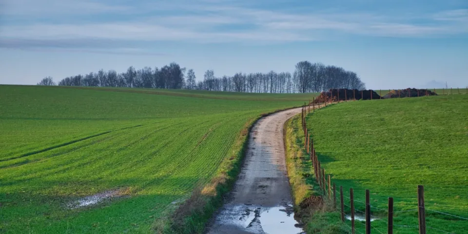 Raportowanie ESG w branży AGD: Klucz do Zrównoważonego Rozwoju i Konkurencyjności